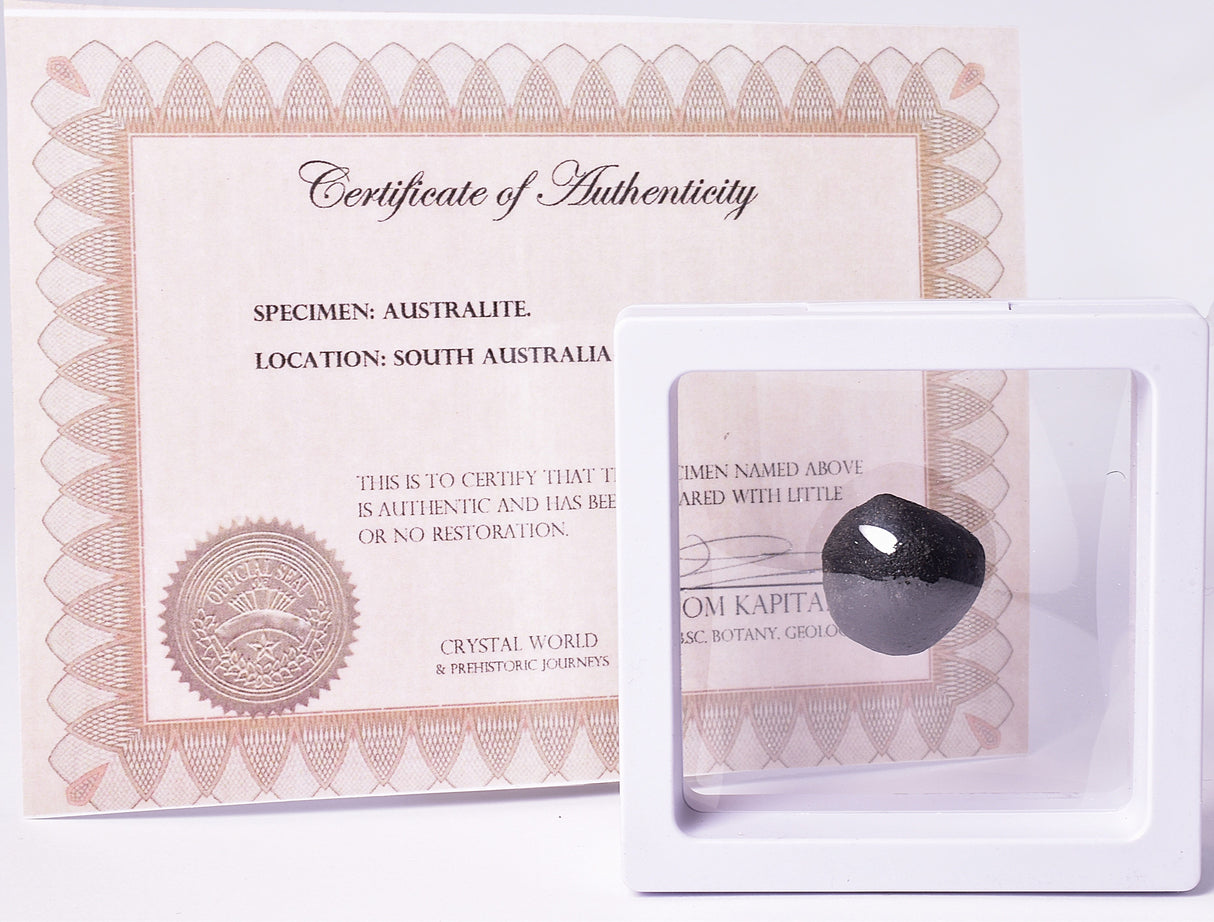 AUSTRALITE, METEORITE 6.7 grams FROM SOUTH AUSTRALIA MT258