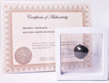 AUSTRALITE, METEORITE 6.7 grams FROM SOUTH AUSTRALIA MT258