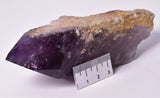 DRAGON TOOTH AMETHYST POINT P951