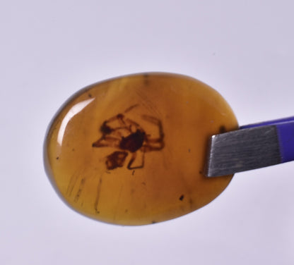 AMBER CABACHON with SPIDER from BURMA F33