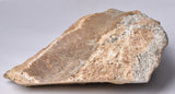 GENUINE MAMMOTH BONE PLEISTOCENE, ICE AGE F1555