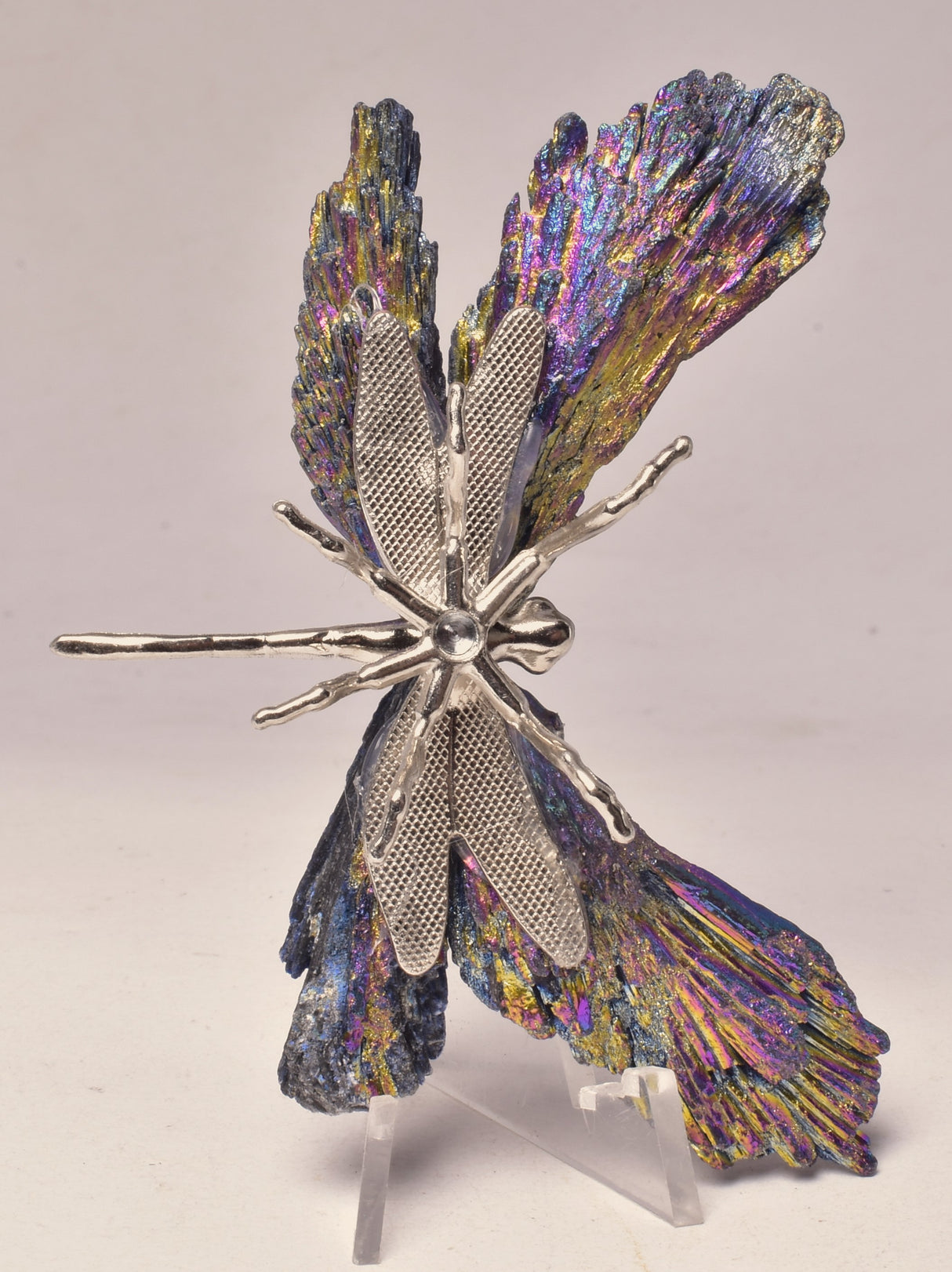 TITANIUM AURA KYANITE DRAGONFLY P569