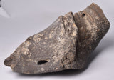GENUINE MAMMOTH BONE PLEISTOCENE, ICE AGE F1556