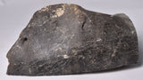 GENUINE MAMMOTH BONE PLEISTOCENE, ICE AGE F1556