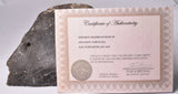 GENUINE MAMMOTH BONE PLEISTOCENE, ICE AGE F1556