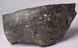 GENUINE MAMMOTH BONE PLEISTOCENE, ICE AGE F1556