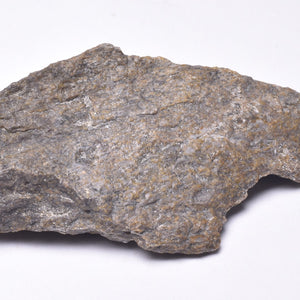 Fossil Dinosaur Bone
