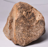 GENUINE MAMMOTH BONE PLEISTOCENE, ICE AGE F1557
