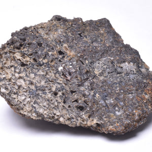 Fossil Dinosaur Bone