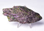 TITANIUM AURA KYANITE P55