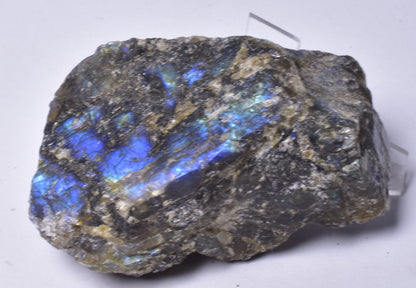 LABRADORITE CRYSTAL ROUGH ROCK, Madagascar P2081
