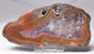 AGATE CREEK, Polished AGATE, AUSTRALIA P650