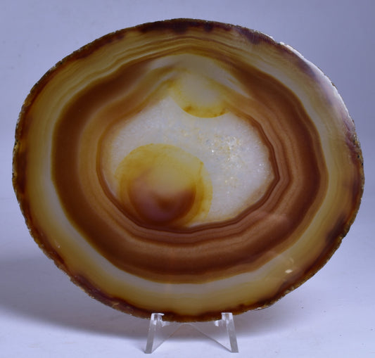 AGATE DYED SLICE FROM BRAZIL P2089