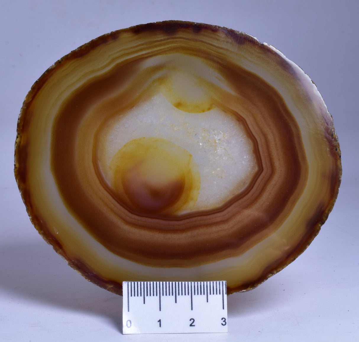 AGATE DYED SLICE FROM BRAZIL P259