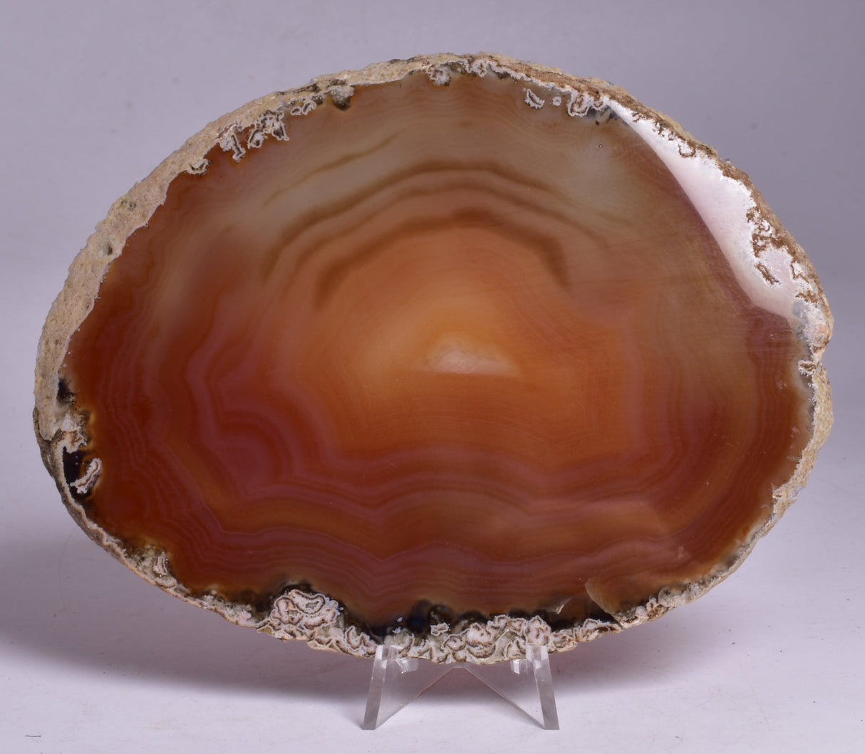 AGATE DYED SLICE FROM BRAZIL P260
