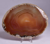 AGATE DYED SLICE FROM BRAZIL P260