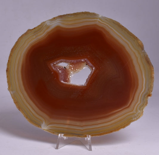 AGATE DYED SLICE FROM BRAZIL P2091
