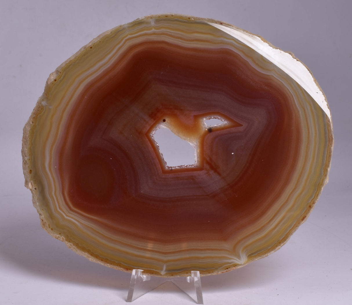 AGATE DYED SLICE FROM BRAZIL P261