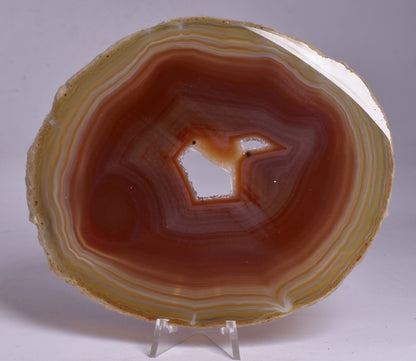 AGATE DYED SLICE FROM BRAZIL P2091