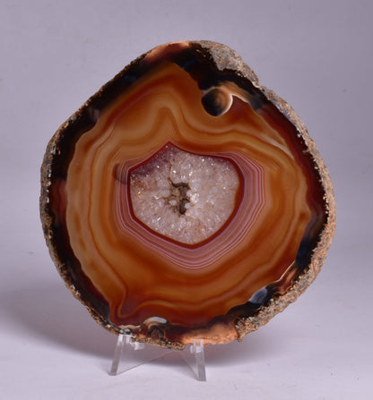 AGATE DYED SLICE FROM BRAZIL P2093