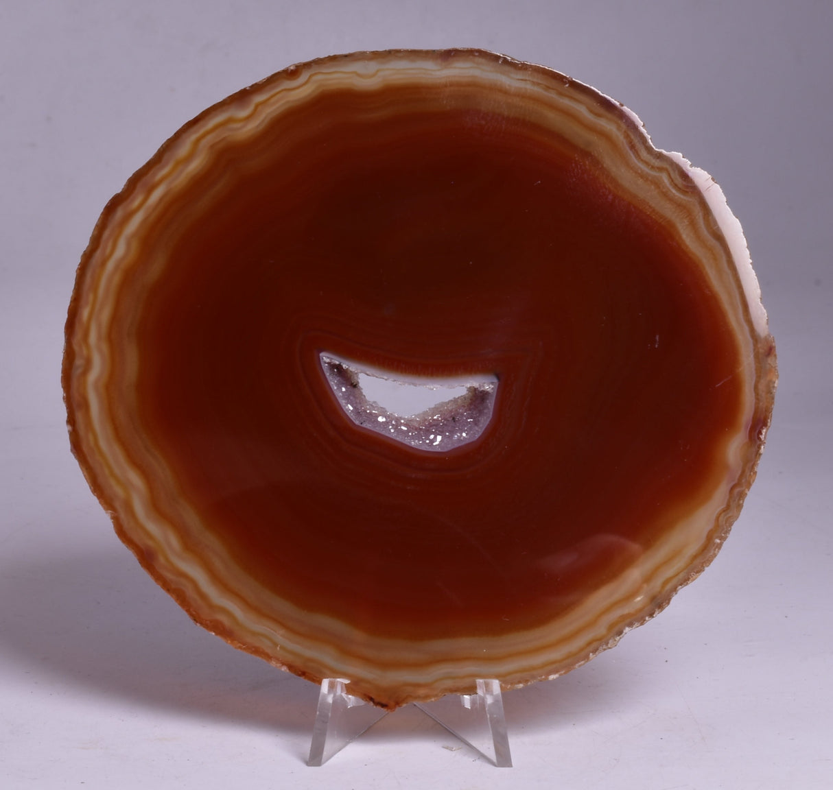 AGATE DYED SLICE FROM BRAZIL P262
