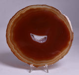 AGATE DYED SLICE FROM BRAZIL P262