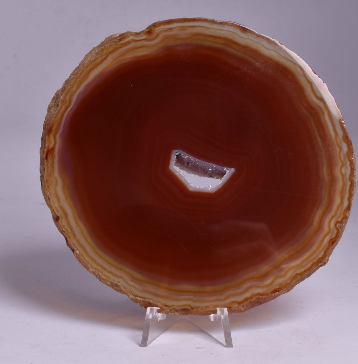 AGATE DYED SLICE FROM BRAZIL P262