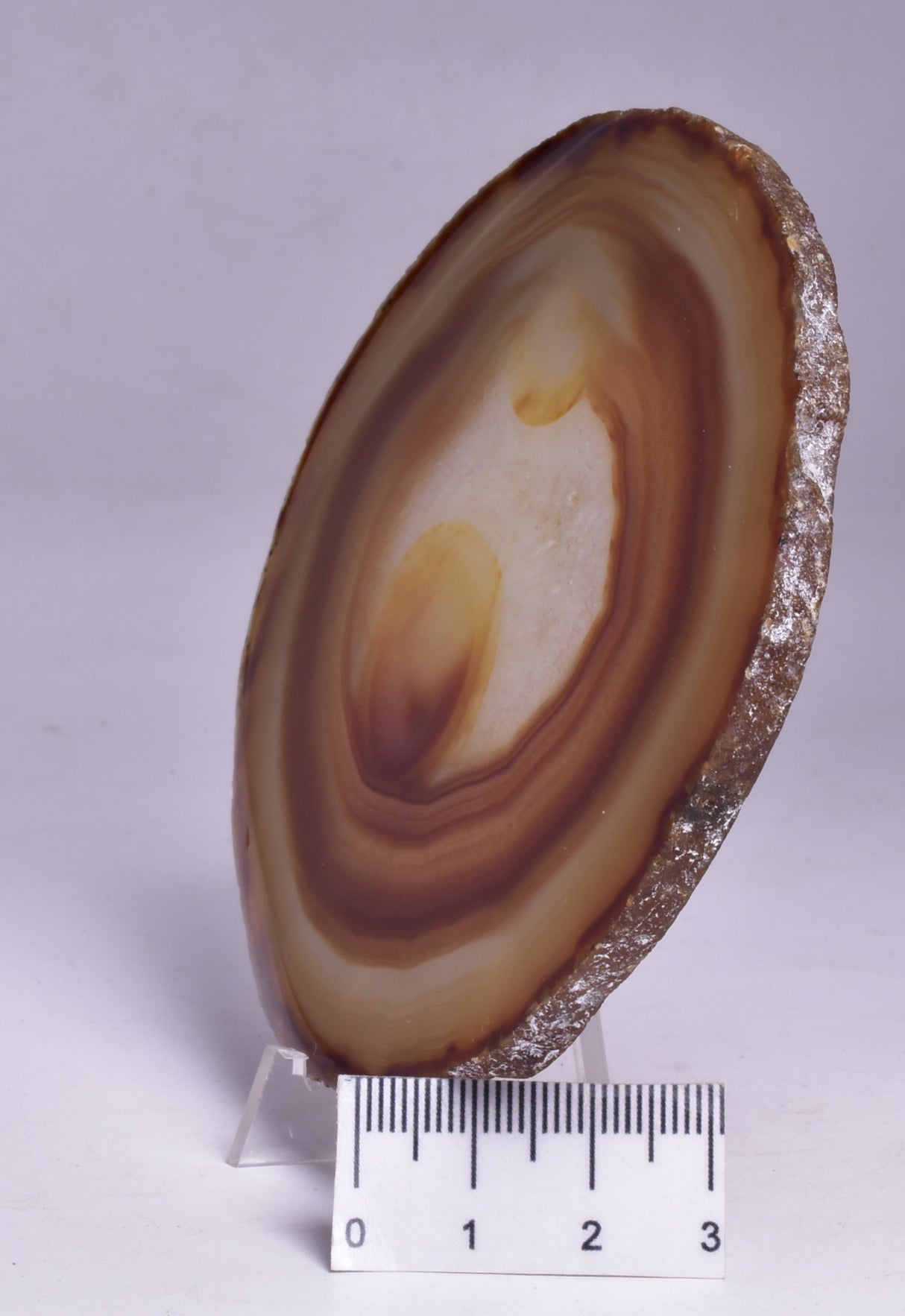 AGATE DYED SLICE FROM BRAZIL P259