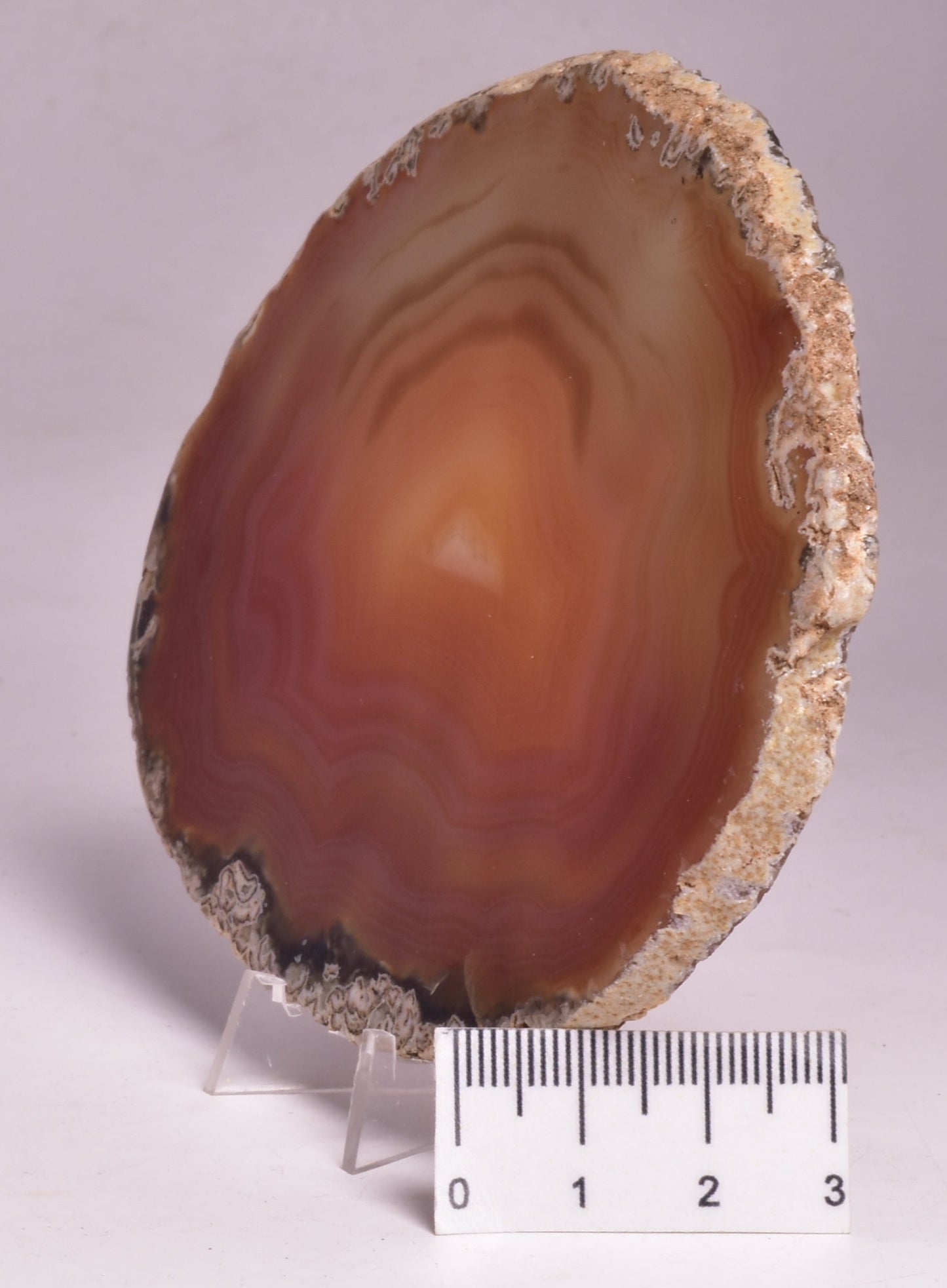 AGATE DYED SLICE FROM BRAZIL P2090