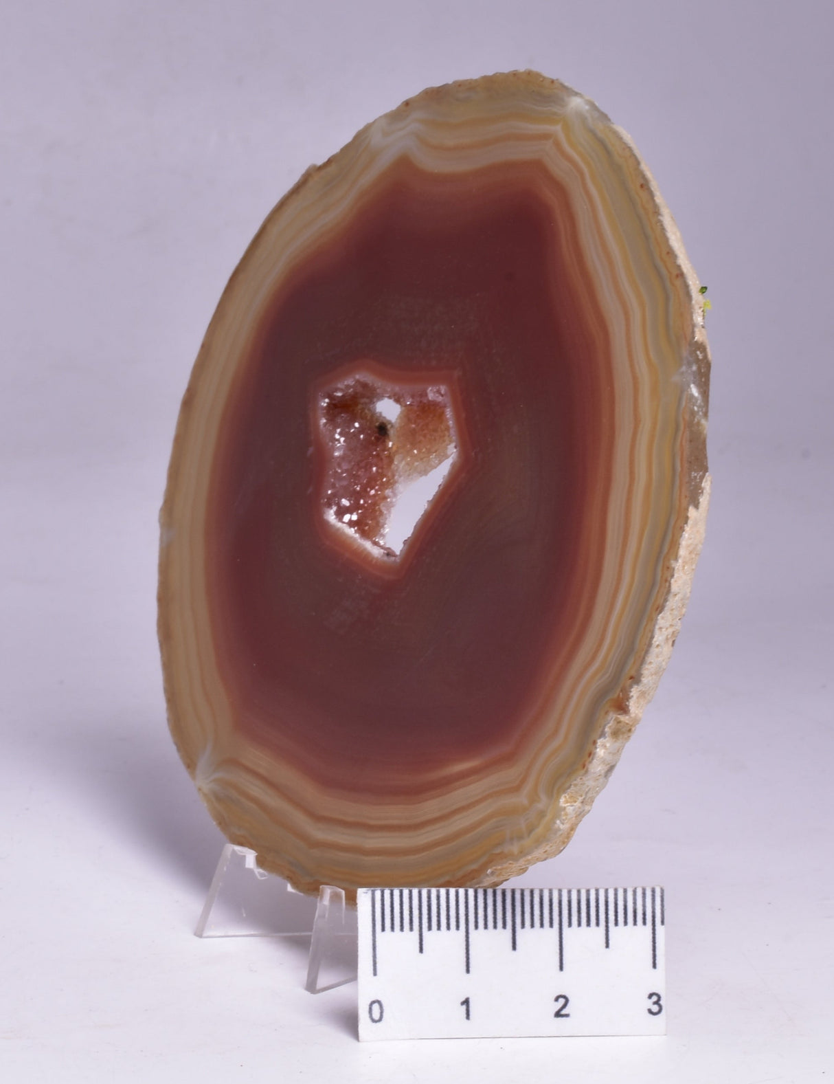 AGATE DYED SLICE FROM BRAZIL P261