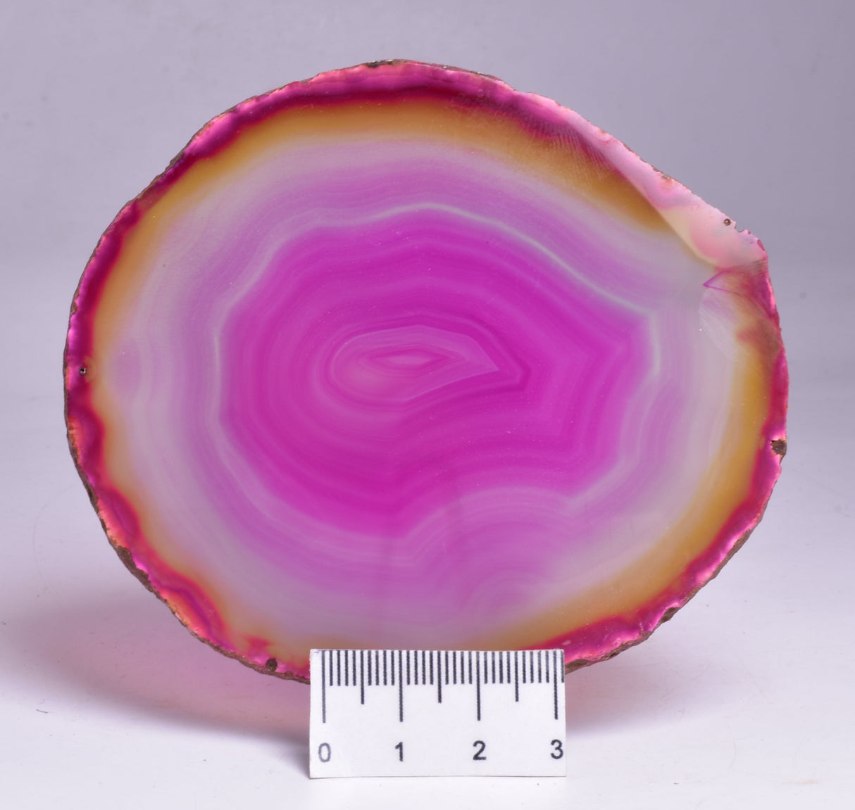 AGATE DYED SLICE FROM BRAZIL P264