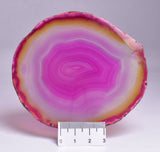 AGATE DYED SLICE FROM BRAZIL P264