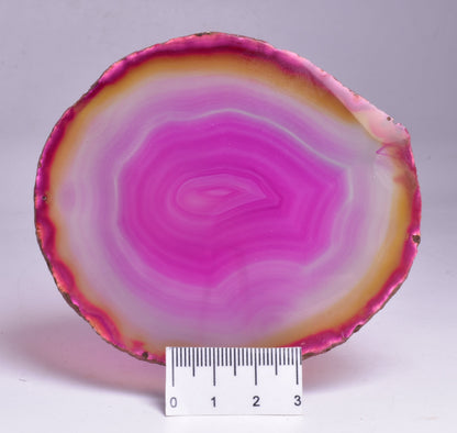 AGATE DYED SLICE FROM BRAZIL P2095