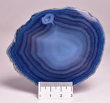 AGATE DYED SLICE FROM BRAZIL P268