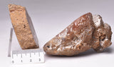 AGATE CREEK, Polished AGATE, AUSTRALIA S867
