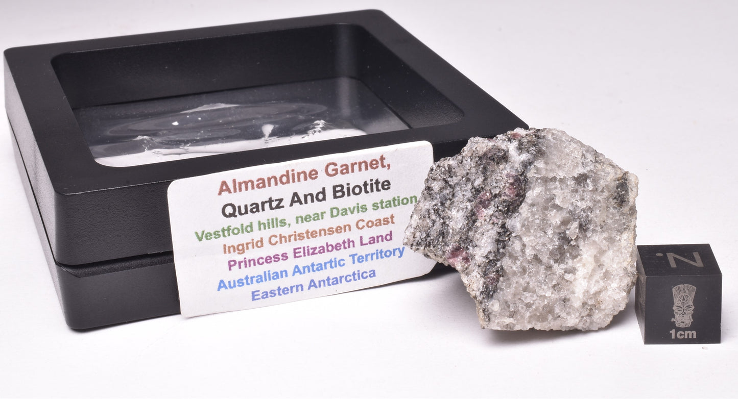ALMANDINE GARNET, QUARTZ AND BIOTITE, AUSTRALIAN ANTARTIC TERRITORY M299