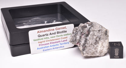 ALMANDINE GARNET, QUARTZ AND BIOTITE, AUSTRALIAN ANTARTIC TERRITORY M299