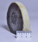 AGATE HALF with BASE CUT, POLISHED FROM BRAZIL P197