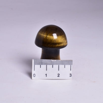 TIGER EYE MUSHROOM CRYSTAL CARVING P03