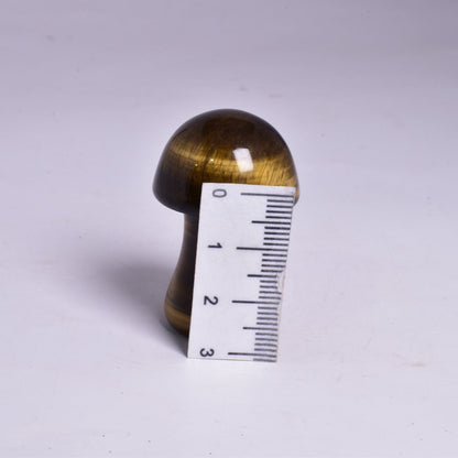 TIGER EYE MUSHROOM CRYSTAL CARVING P03