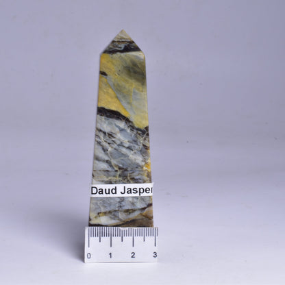 DAUD JASPER TOWER P24