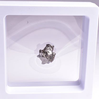 CAMPO DEL CIELO METEORITE, ARGENTINA, FOUND:1576 MT36