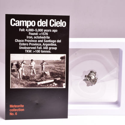 CAMPO DEL CIELO METEORITE, ARGENTINA, FOUND:1576 MT36