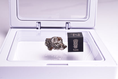 CAMPO DEL CIELO METEORITE, ARGENTINA, FOUND:1576 MT36