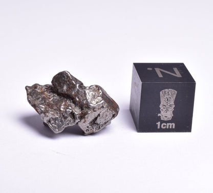 CAMPO DEL CIELO IRON METEORITE, ARGENTINA, FOUND:1576 MT101