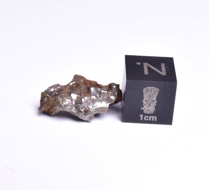 CAMPO DEL CIELO IRON METEORITE, ARGENTINA, FOUND:1576 MT104