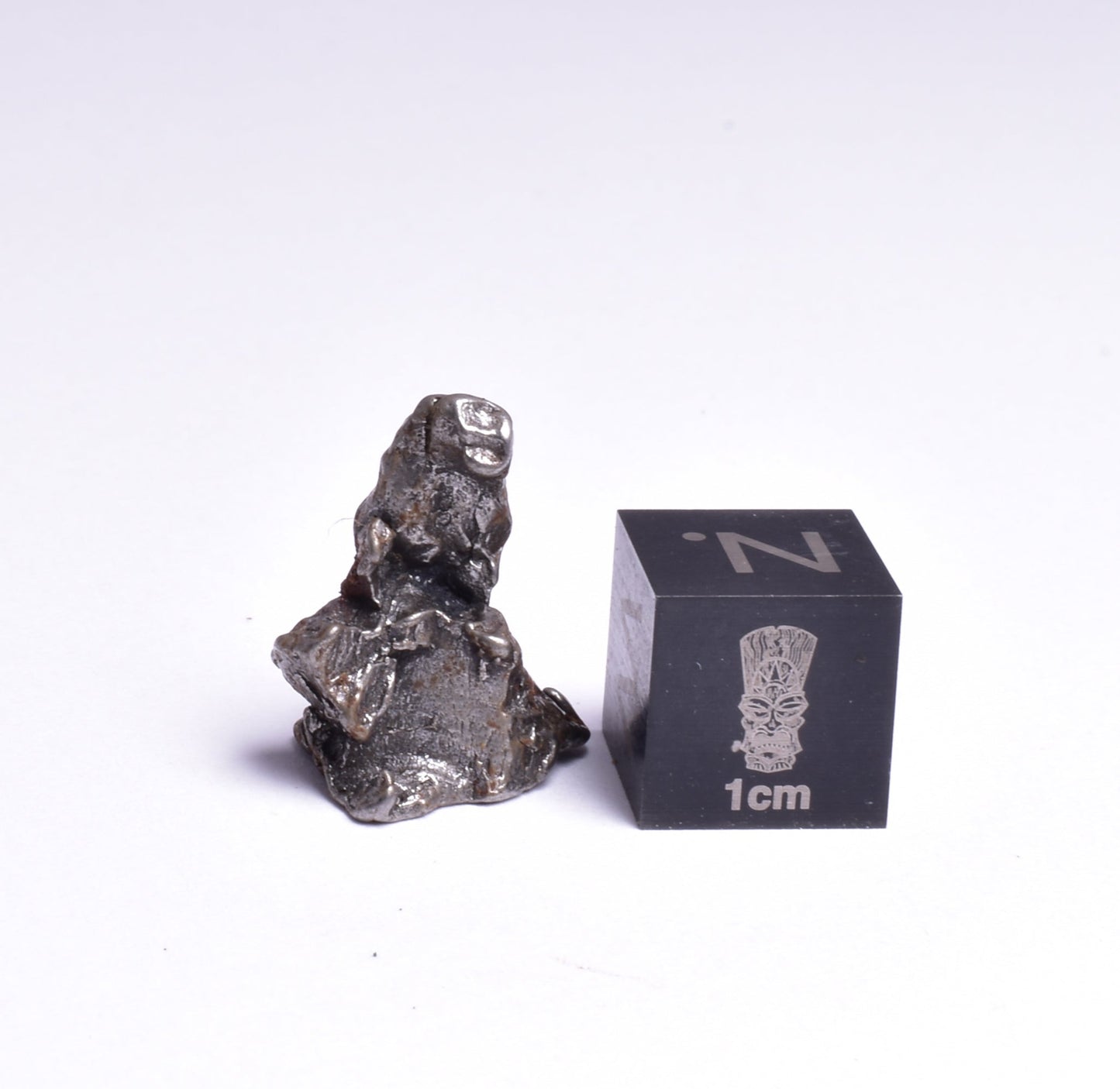CAMPO DEL CIELO METEORITE, ARGENTINA, FOUND:1576 MT105