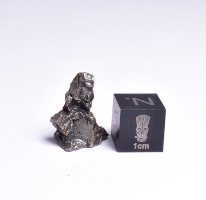 CAMPO DEL CIELO METEORITE, ARGENTINA, FOUND:1576 MT105