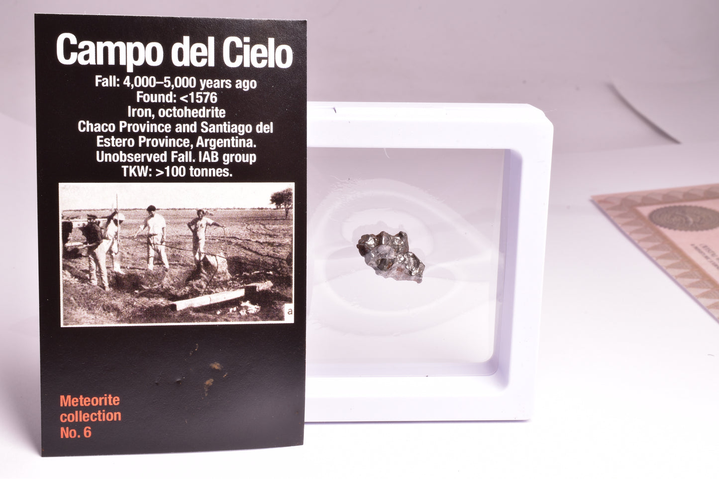 CAMPO DEL CIELO IRON METEORITE, ARGENTINA, FOUND:1576 MT104