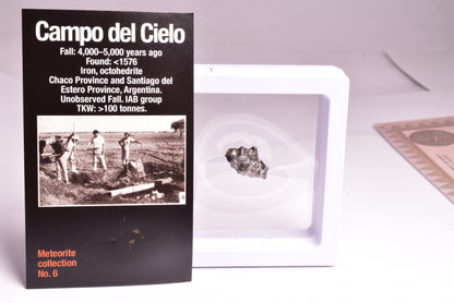 CAMPO DEL CIELO IRON METEORITE, ARGENTINA, FOUND:1576 MT104